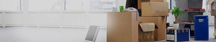 Happy packers and movers