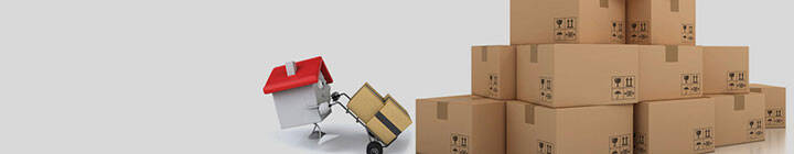 Happy packers and movers